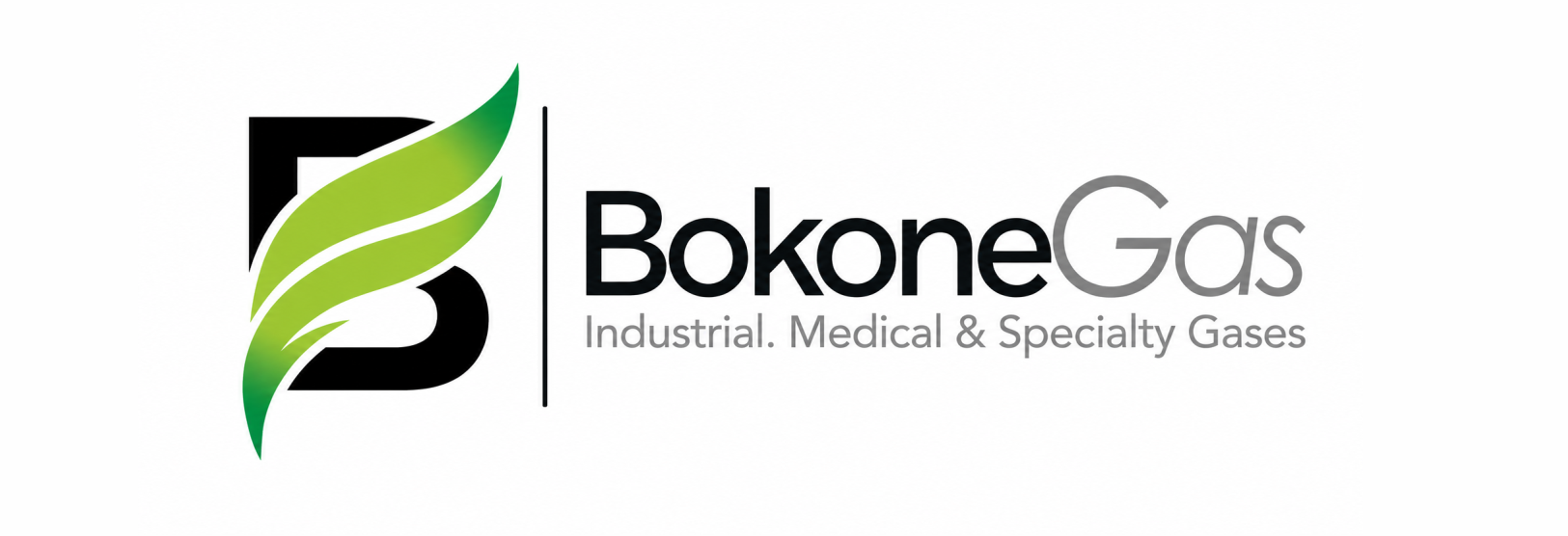 Bokone Gas logo